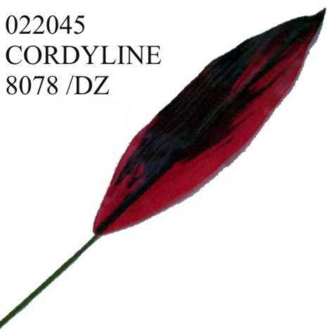 Cordyline Leaves