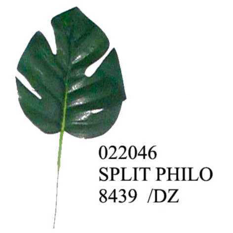 Split Leaf Philodendron Leaves