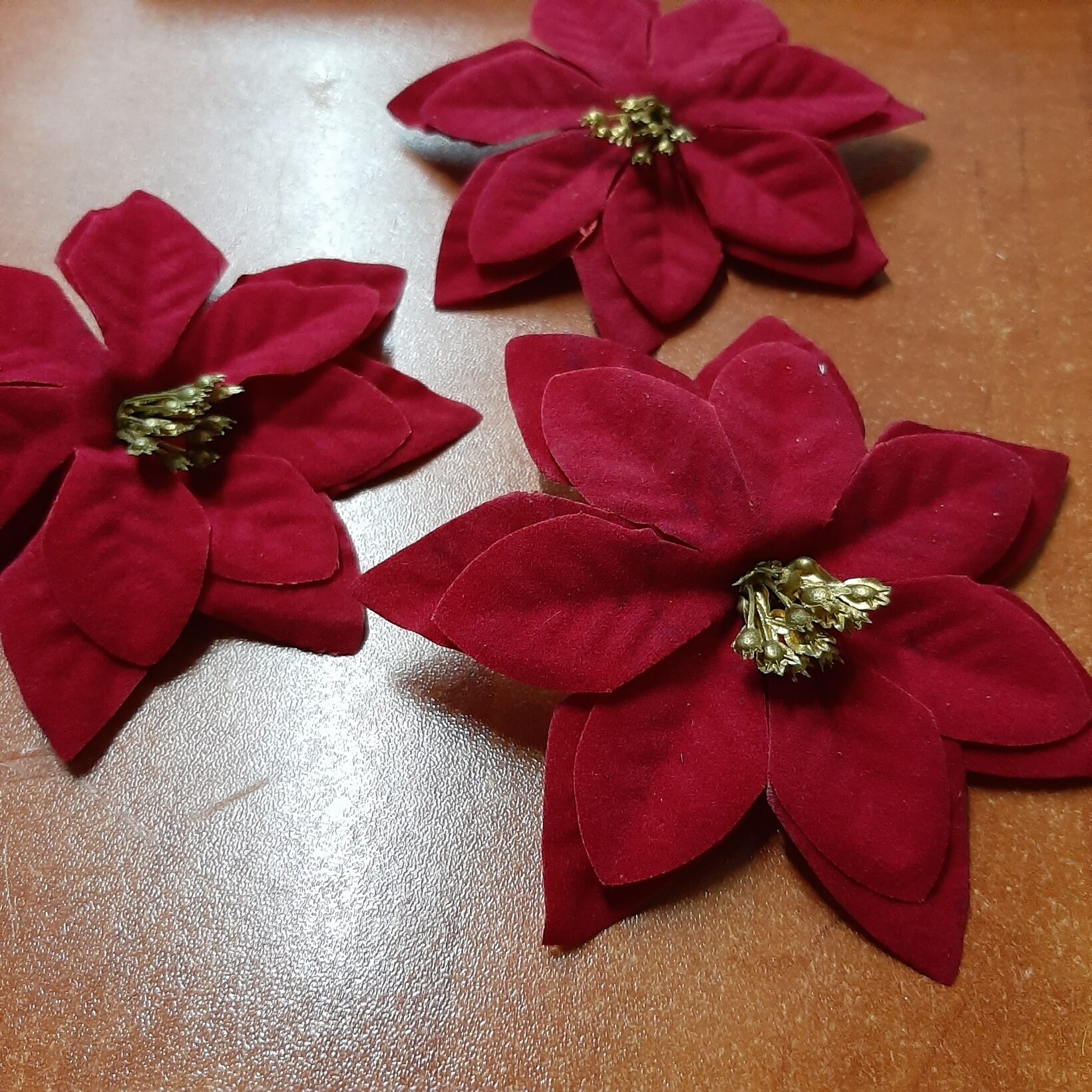 Poinsettia Red