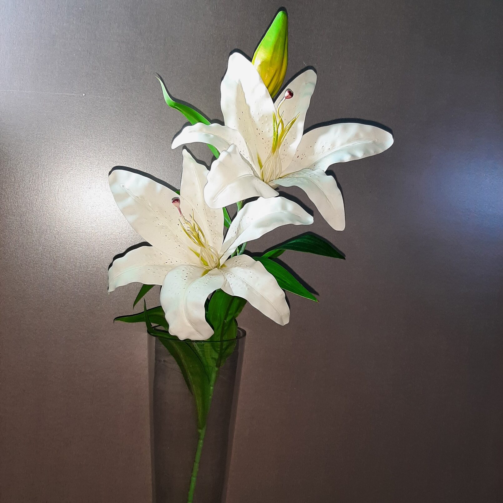 Lilium