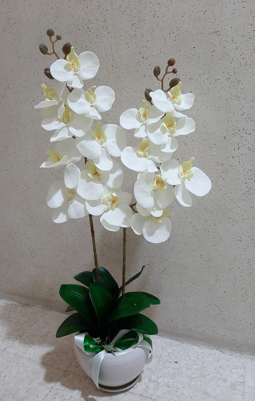 Orchid Arrangement