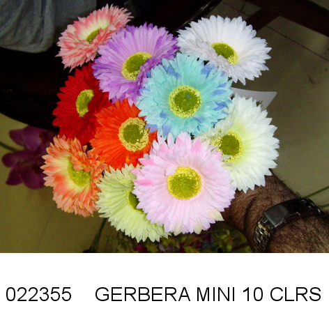 Gerbera Mini